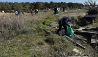 (FOTO) Realizovana ekolo&scaron;ka akcija či&scaron;ćenja dina na Velikoj plaži