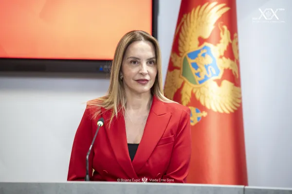 Crna Gora u centru regionalnog i evropskog dijaloga o energetici