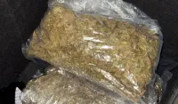 (FOTO) Uhap&scaron;ena jedna osoba: Pronađeno oko dva kilograma marihuane, pi&scaron;tolji, pu&scaron;ke, municija, kokain i ekstazi