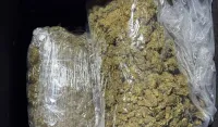 (FOTO) Uhap&scaron;ena jedna osoba: Pronađeno oko dva kilograma marihuane, pi&scaron;tolji, pu&scaron;ke, municija, kokain i ekstazi