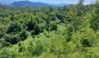 (FOTO/VIDEO) Od Radovča do Kamenika: &Scaron;irenje planinskog puta