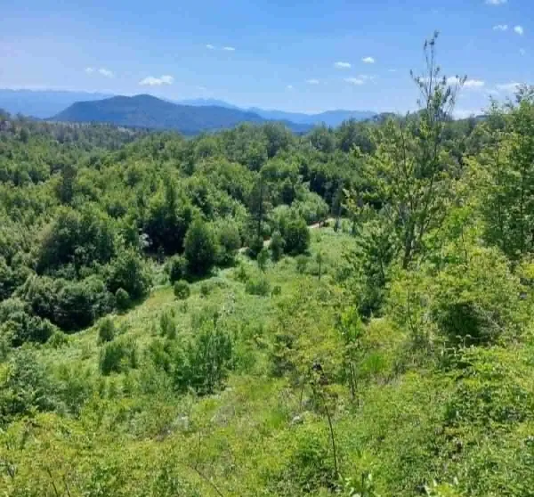 (FOTO/VIDEO) Od Radovča do Kamenika: &Scaron;irenje planinskog puta
