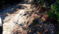 (FOTO/VIDEO) Od Radovča do Kamenika: &Scaron;irenje planinskog puta