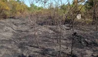 U požarima izgoreli kuća i pomoćni objekat