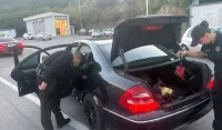 (FOTO) Pojačane aktivnosti GP: Uhap&scaron;eno pet stranih državljana, pronađena droga i falsifikovane isprave