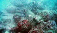 (FOTO) Rimska Budva izlazi pred javnost: Otvaraju se terme na Trgu crkava