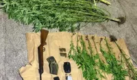 Plantaža marihuane otkrivena u dvori&scaron;tu porodične kuće u Nik&scaron;iću: Uhap&scaron;eni otac i sin