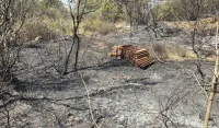(FOTO) Aktivni požari na Briskoj gori i u Klezni, vatra prijeti svetinjama i domovima