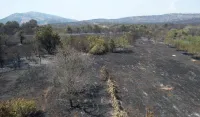 (FOTO) Aktivni požari na Briskoj gori i u Klezni, vatra prijeti svetinjama i domovima