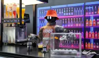 (FOTO) Humanoidni roboti stižu u svaki dom: Za deset godina postaće masovan proizvod