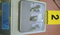 (FOTO) Sjeverna regija: Oduzeto oružje, veća količina municije, marihuana i tablete