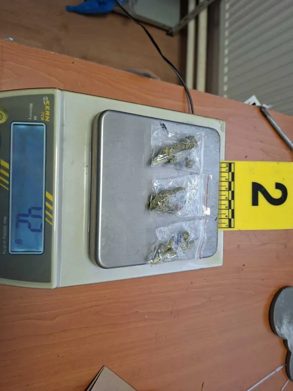 (FOTO) Sjeverna regija: Oduzeto oružje, veća količina municije, marihuana i tablete