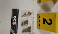 (FOTO) Sjeverna regija: Oduzeto oružje, veća količina municije, marihuana i tablete