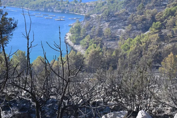 (FOTO) Veliki požar na Braču: Evakuisano 700 ljudi, među njima i dvije porodice sa Cetinja