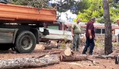 Бар: Комуналци сектора Зеленило сјекли суво дрвеће