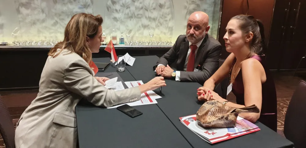 Privredna komora, Panel ekonomska diplomatija