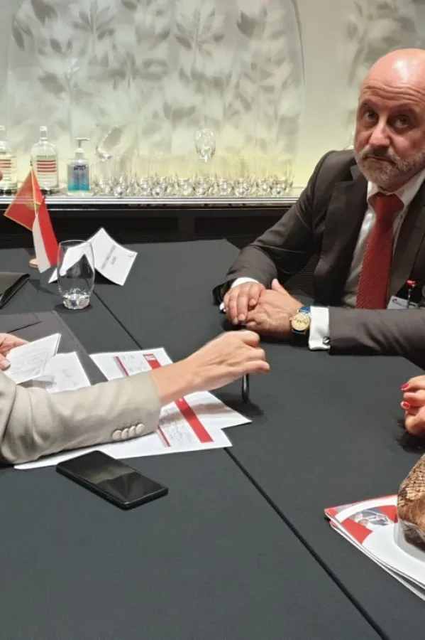 Privredna komora, Panel ekonomska diplomatija