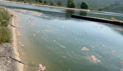 foto: Skrin&scaron;ot TV NK