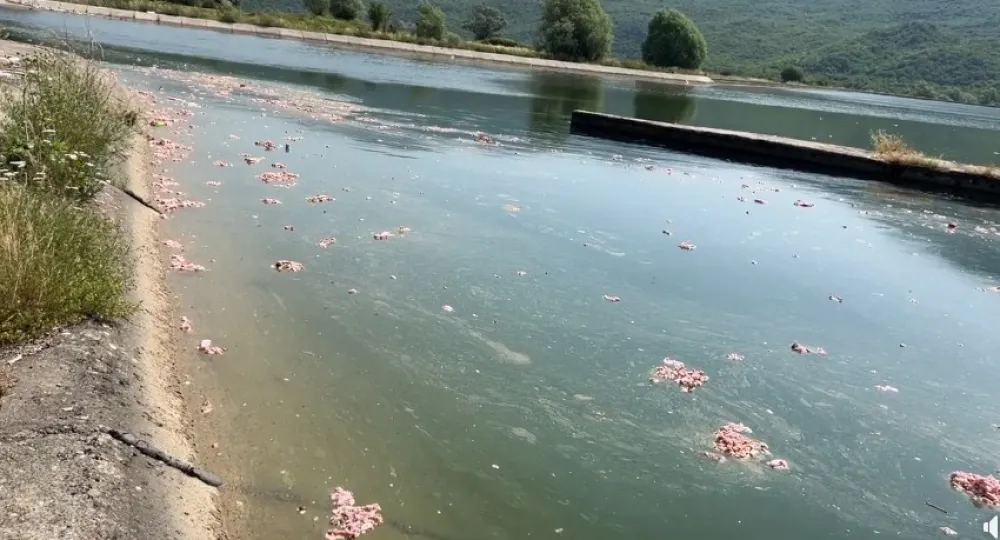 foto: Skrin&scaron;ot TV NK