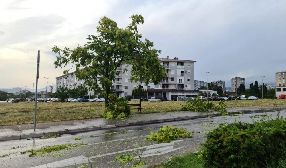 Foto: Lazar Ružić