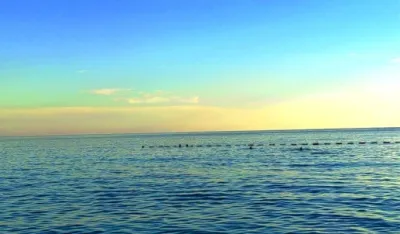 ilustracija foto: Ž.B.