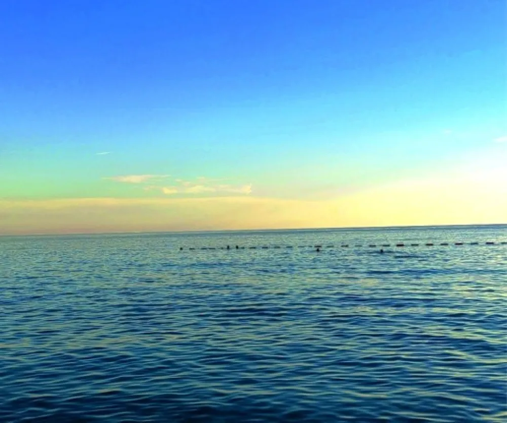 ilustracija foto: Ž.B.