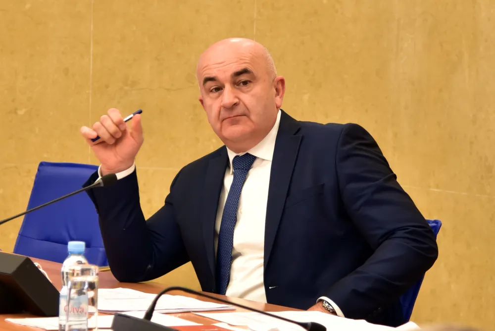 Vladimir Jokovic odbor za ekonomiju akcize