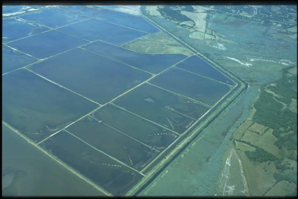 Katastar upisao državu kao vlasnika Solane, na osnovu mi&scaron;ljenja Vladinog Savјeta