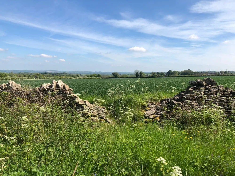 временска прогноза