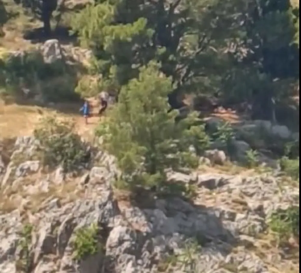 Foto: Skrin&scaron;ot - Fejsbuk - Služba za&scaron;tite i spa&scaron;avanja Glavnog grada