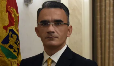Vladimir Leposavić