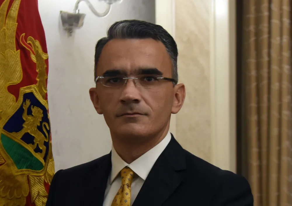 Vladimir Leposavić