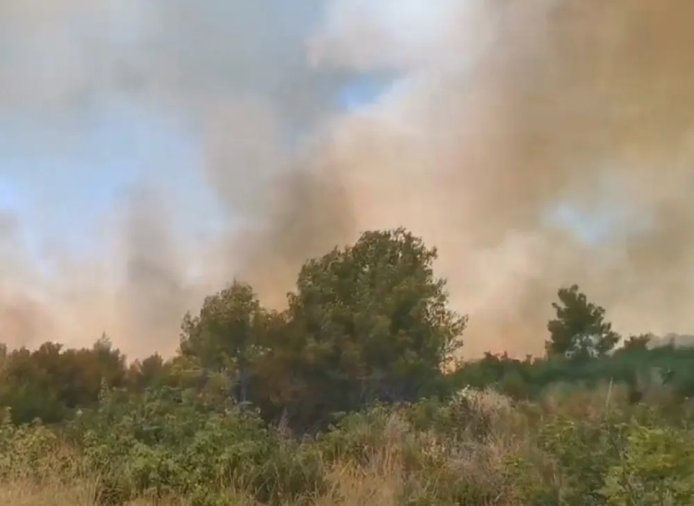 ilustracija: youtube ladder_93