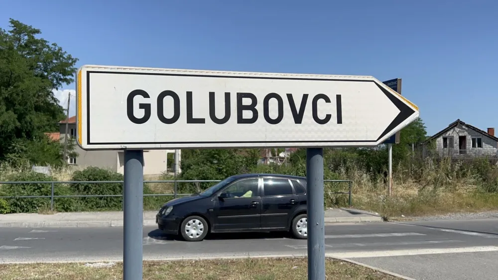 Голубовци Голубовци