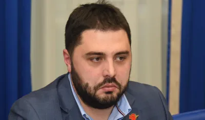 ustavni odbor