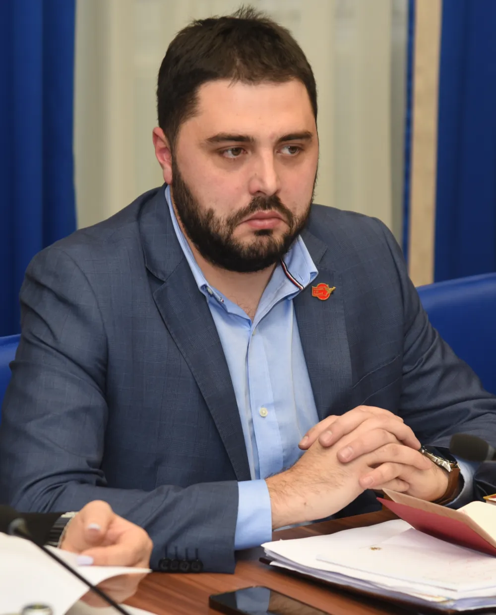ustavni odbor
