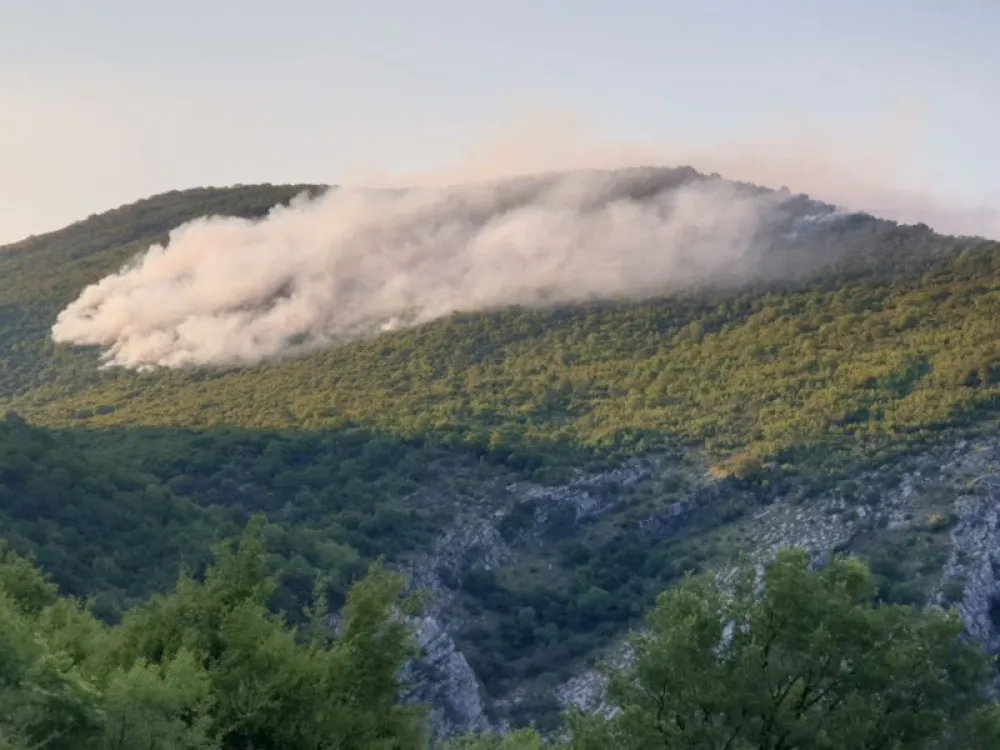 Požar iznad Zelenike