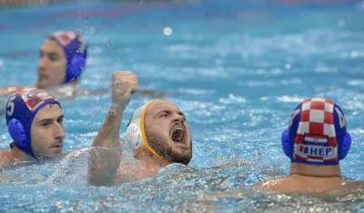 Vladan Spaić