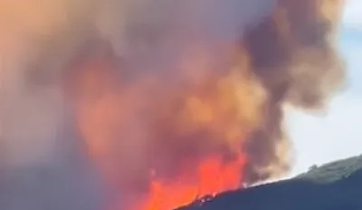 ILUSTRACIJA: YOUTUBE Guardian News