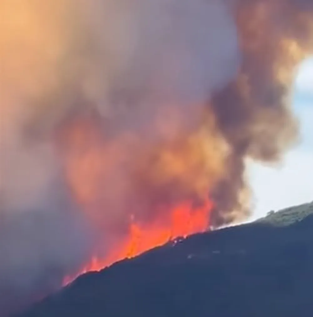 ILUSTRACIJA: YOUTUBE Guardian News