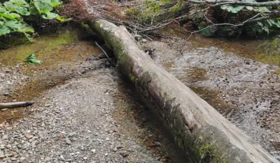 FOTO ILUSTRACIJA: Ž.B.