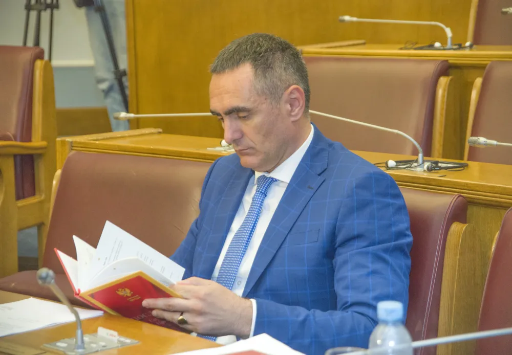 skupstina, aleksandar damjanovic