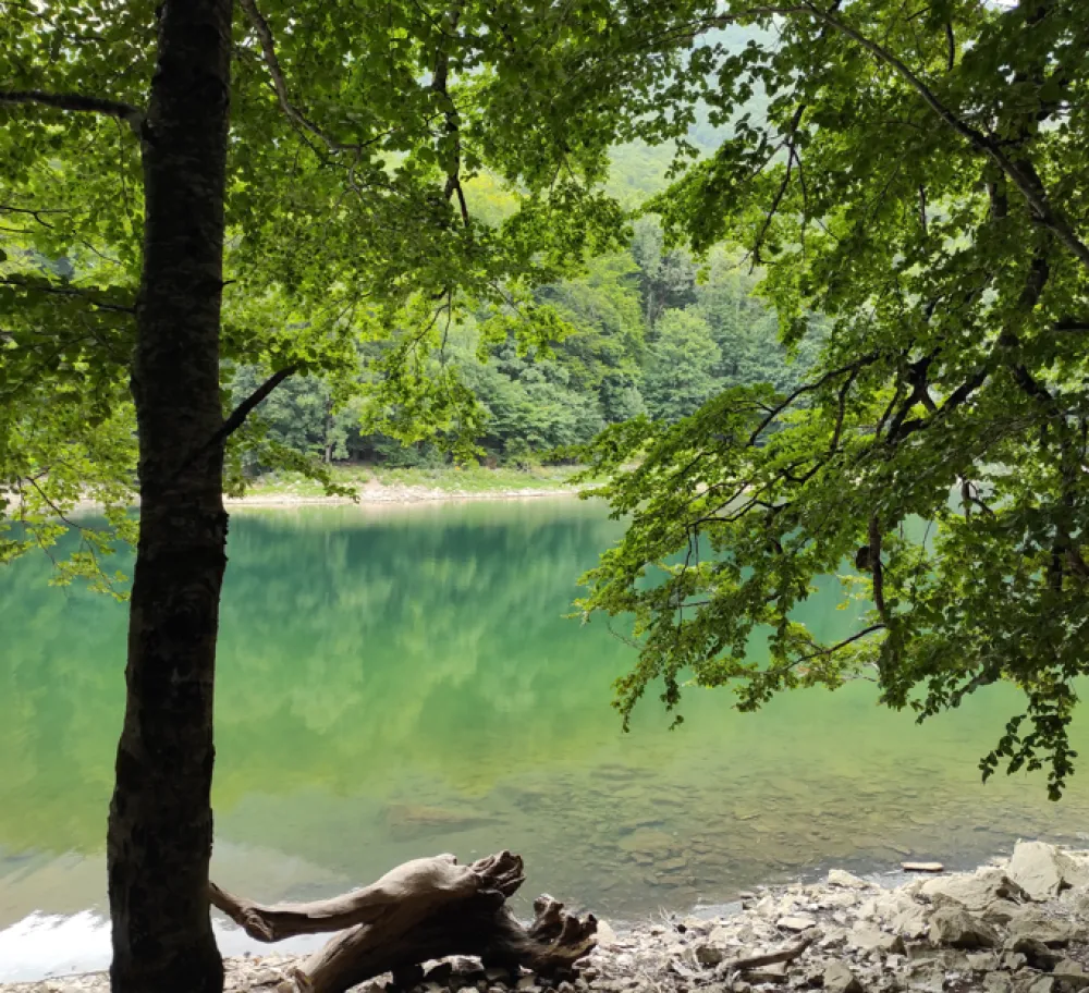 foto: Žana Bojanić