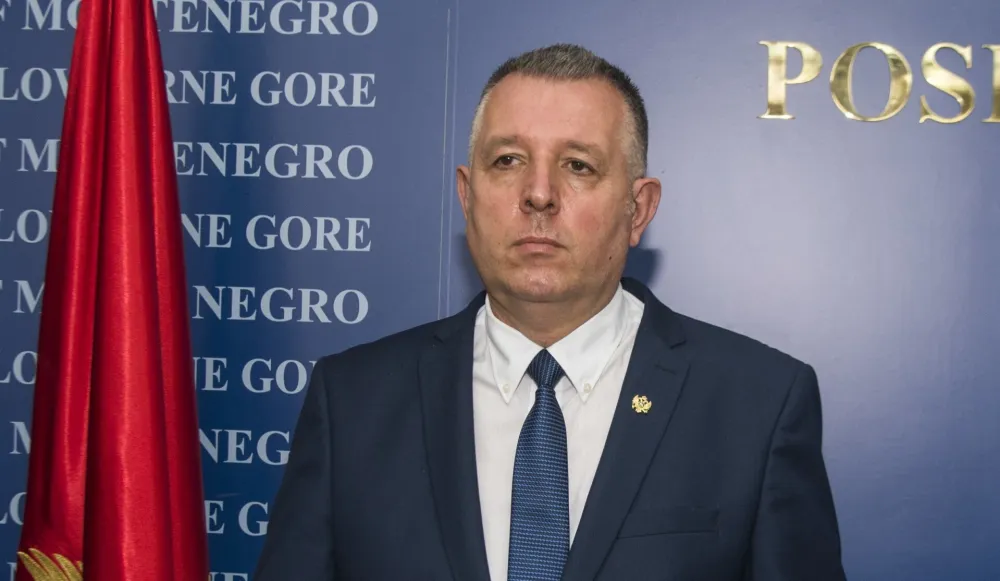 Srdjan Boljevic
