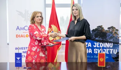 američka provredna komora