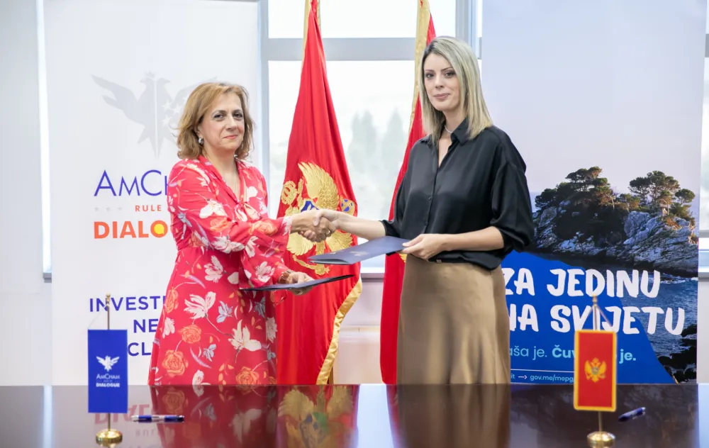 američka provredna komora