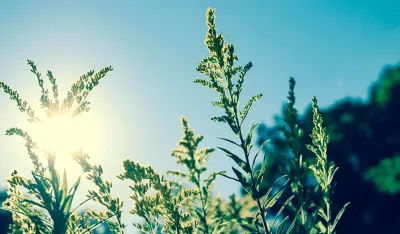 Временска прогноза