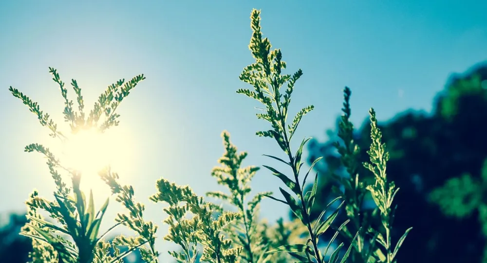 Временска прогноза