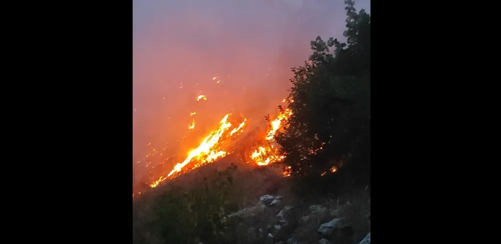 Požarom zahvaćen &scaron;umski kompleks