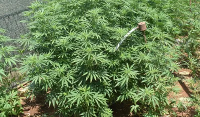 foto: uprava policije